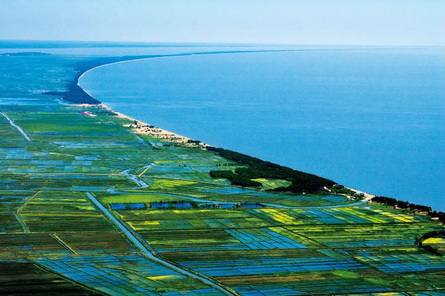 1525424260464918.jpg 2.jpg